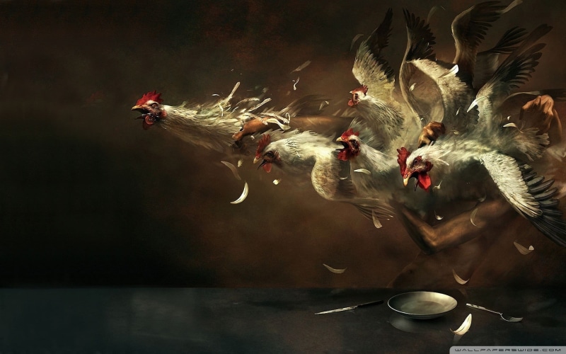bird, celebration, 1080P, knife, birds, feathers, no people, plant, animal wildlife, artwork, six, animal, animal themes, digital art, white, vertebrate