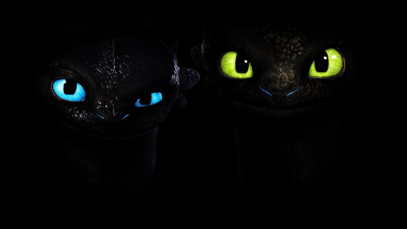 close-up, looking at camera, one animal, evil, eye, body part, 1080P, dark, people, iris - eye, black background, spooky, fear, human body part, animal eye
