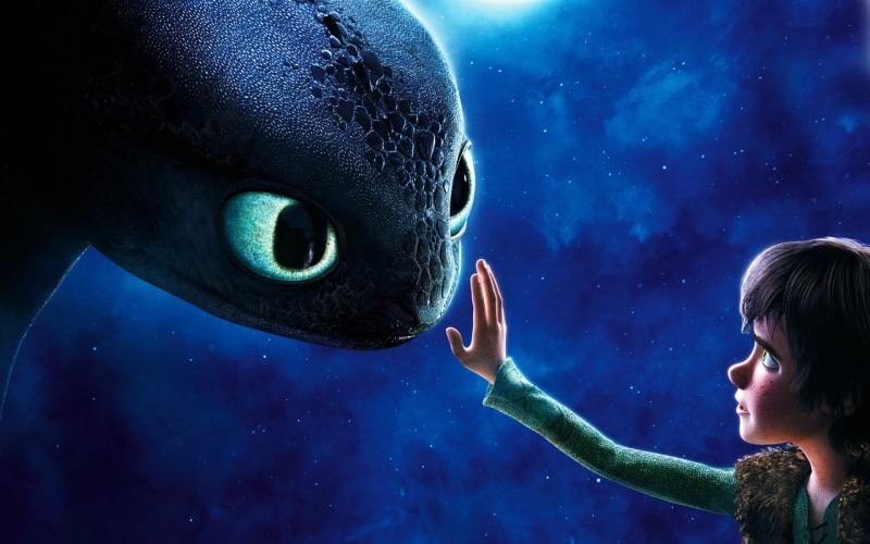 train, underwater, marine, people, blue, young adult, undersea, tank, wildlife, animals in captivity, one animal, swimming, animal, aquarium, How to train your dragon