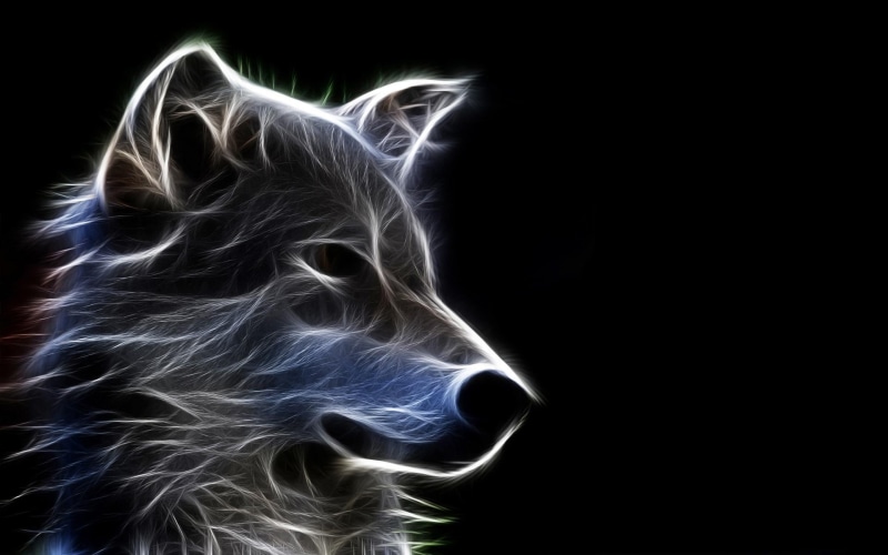 wolf abstract art, beautiful, nature, 1080P, black white, canine, wild, abstract, furry, abstact, abstract art, wolf, art