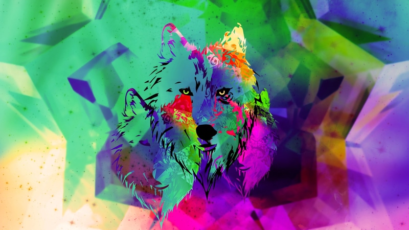 plant part, painting, backgrounds, wolf, 5K, pattern, creativity, digital composite, full frame, close-up, craft, day, no people, digital, multi colored