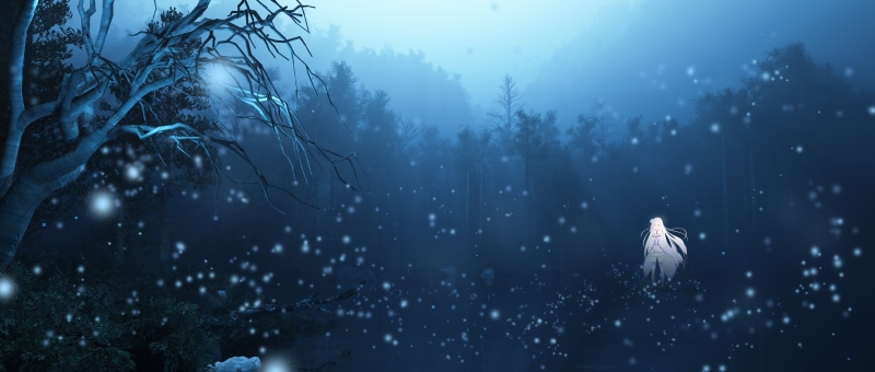 dark, coniferous tree, forest, bird, animal, nature, tree, animal themes, winter, vertebrate, landscape, pine woodland, Re:Zero Kara Hajimeru Isekai Seikatsu