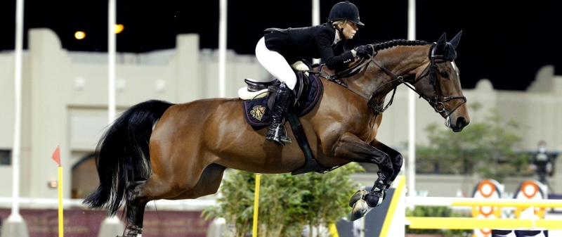 Equitation, 2K, horse, jumping, horse riding, side view