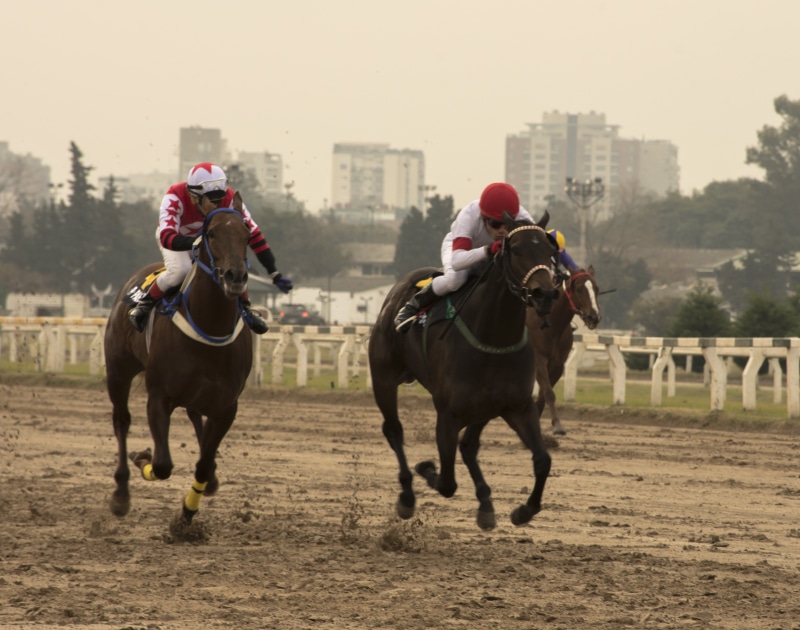 vertebrate, group of animals, mammal, activity, domestic, riding, horse riding, horse, domestic animals, real people, working animal, architecture, outdoors