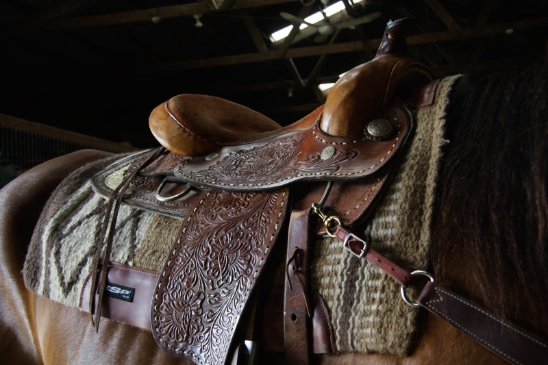 ride, herbivorous, indoors, back, real people, animal wildlife, day, leather, usa, one person, horse saddle, livestock, cowboy, art and craft, stall, wood - material