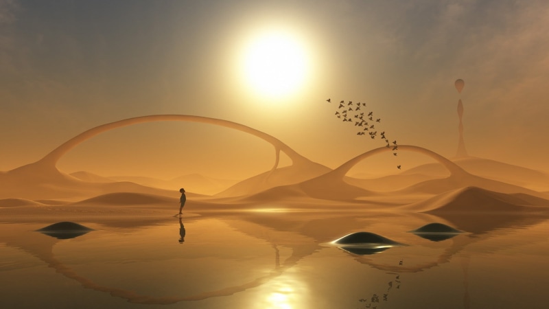 group of animals, tranquil scene, fantasy art, black, fan, outdoors, white, animal, tranquility, orange color, animal themes, beauty in nature, animals in the wild