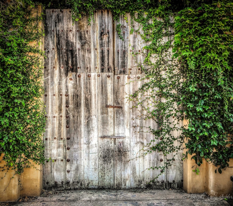 architecture, entrance, gate, the past, wall, tree, outdoors, vintage, growth, 2K, rural, ruined, no people, garden, green color, fence, old, wooden, wood