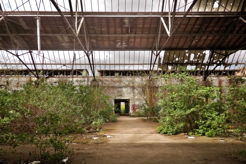 factory building, run down, growth, graffiti, break up, track climb, leave, old factory hall, broken, fouling, 4K, tree, ailing, old building, stainless