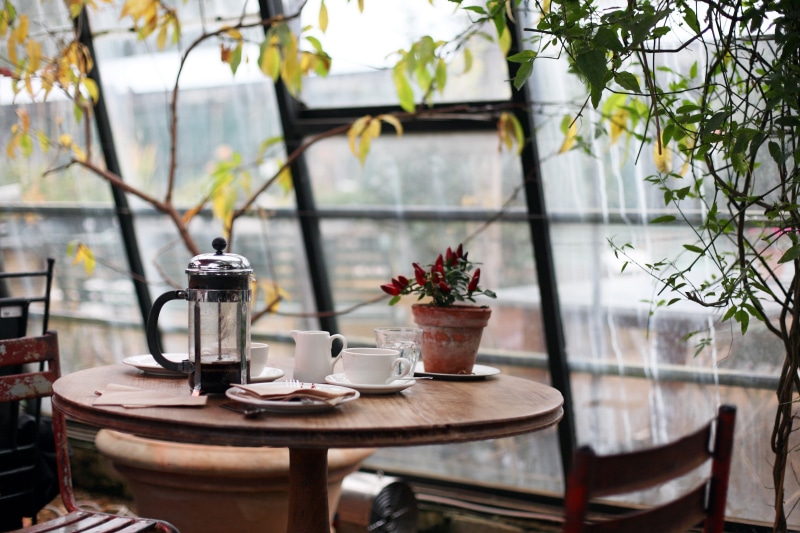 dining, glass, drinking Glass, summer, restaurant, outdoors, absence, flower, 4K, interior, round, indoors, nature, coffee cup, drink, mug, crockery, chair