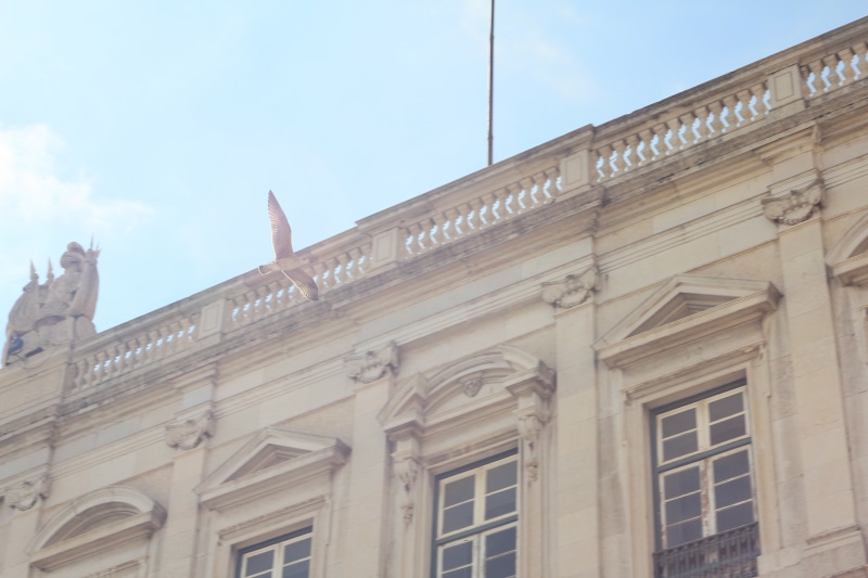 history, shallow, the past, building exterior, low, built structure, day, outdoors, cloud - sky, text, flying, photography, architecture, sky, infrastructure