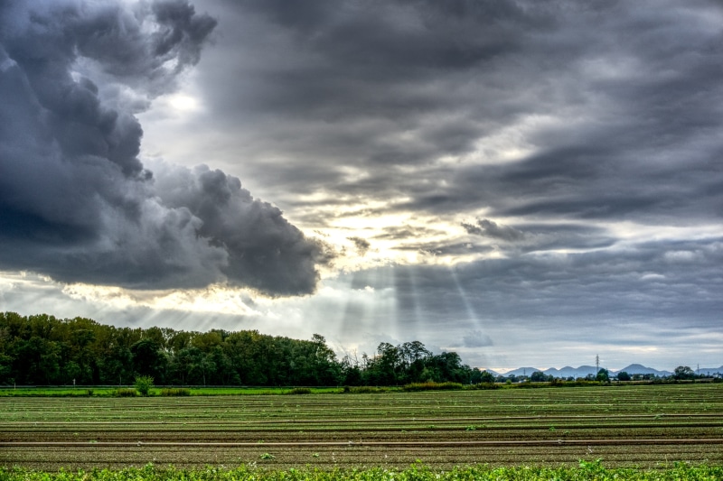 environment, cloud - sky, agriculture, god, 5K, plant, field, outdoors, rain, sunset, rural scene, drama, nature, beauty in nature, high dynamic range