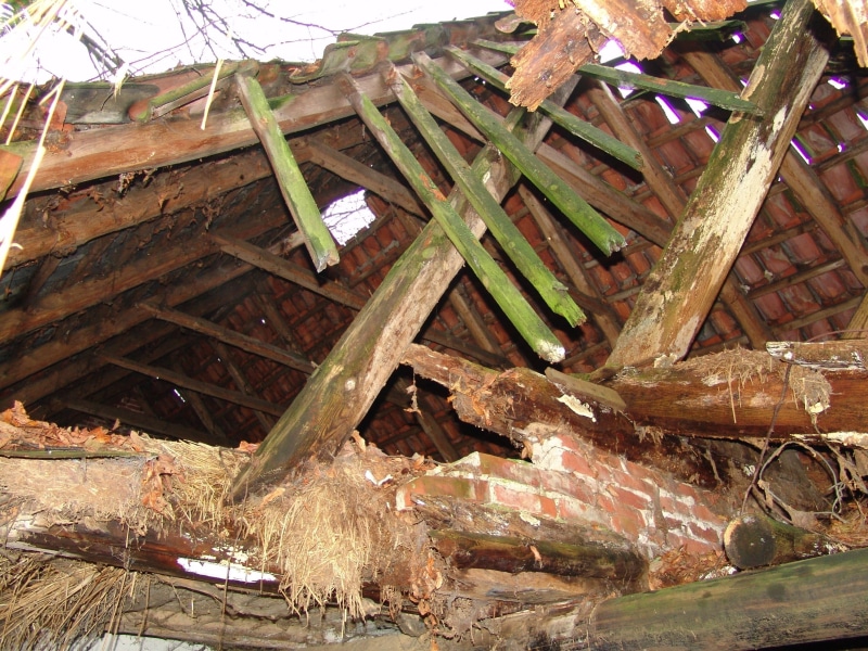 wood - material, outdoors, roof beam, Old, roof, 2K, abandoned, nature, plant, no people, food, roof truss, Building, deterioration, damaged, old building
