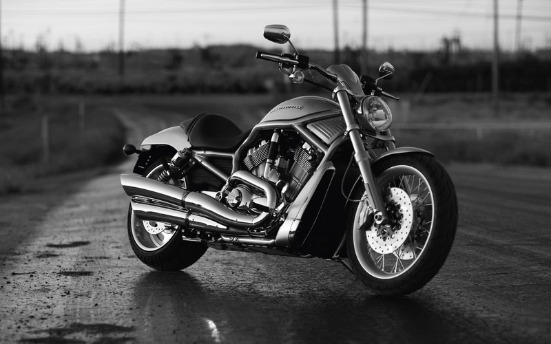 street, road, davidson, side view, grayscale, old, Motorcycles, transportation, harley, cruiser, selective focus, 2016, riding, land, spec, city, 1080P