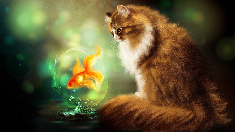 painting art, goldfish, fish, fantasy art, cat, painting, 1080P