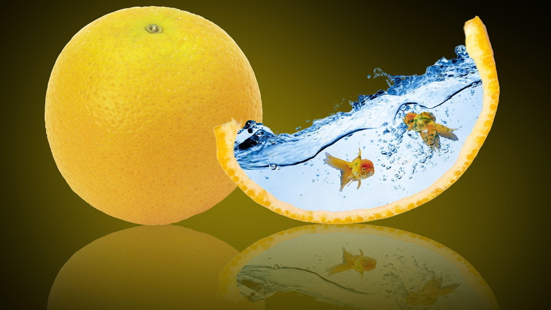 4K, reflected, food, fishes, fruit, orange, goldfish, digital art, water, citrus