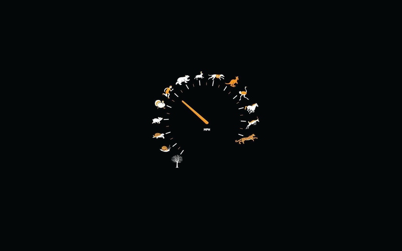 illuminated, analog, copy space, nature, night, vector, low angle view, number, gauge, fragility, studio shot, cut out, 1080P, motion, tachometer, creativity