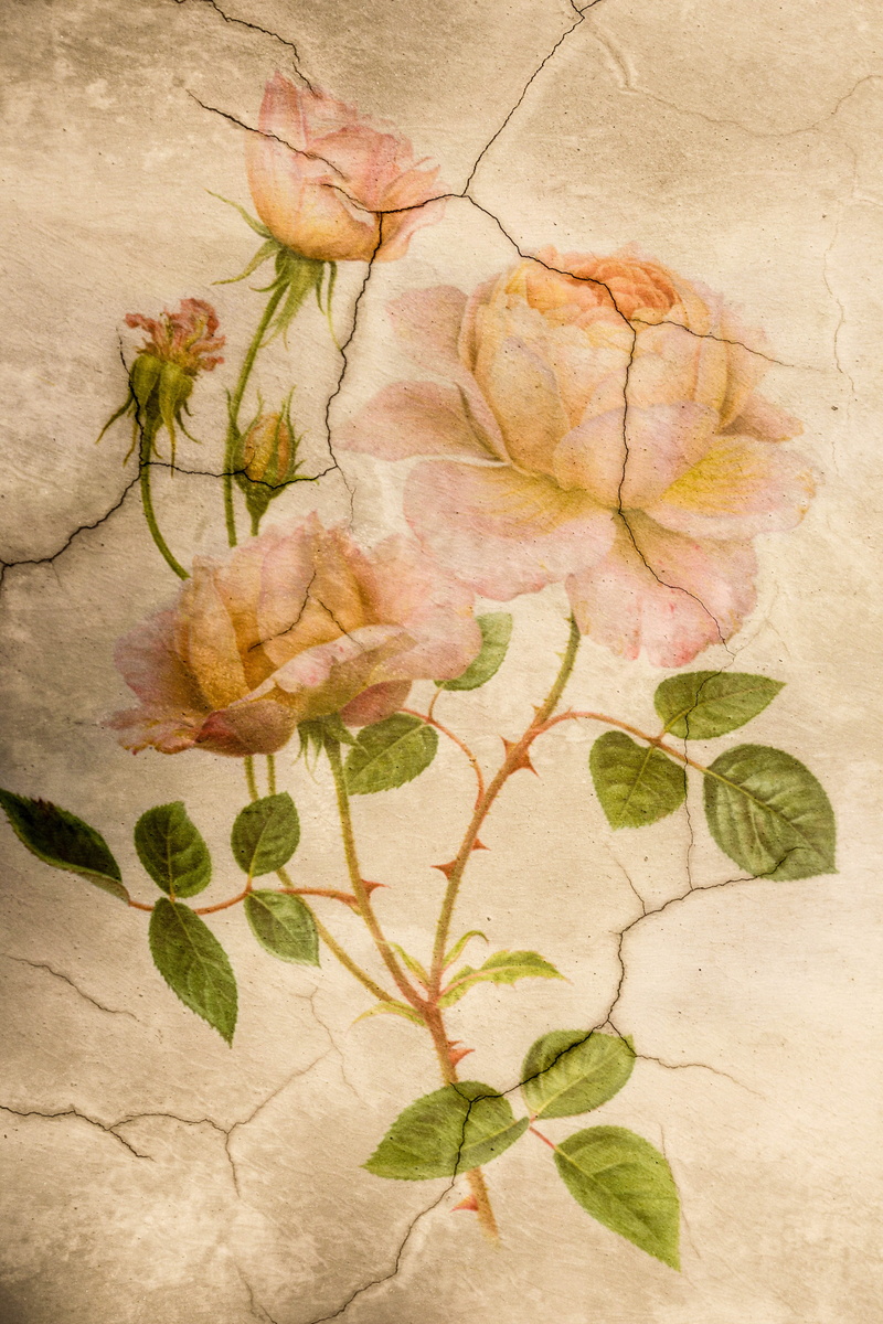 textured, Masonry, leaves, flooring, autumn, pink, leaf, wilted plant, beauty in nature, tiled floor, flowering plant, nature, pink rose, day, vulnerability
