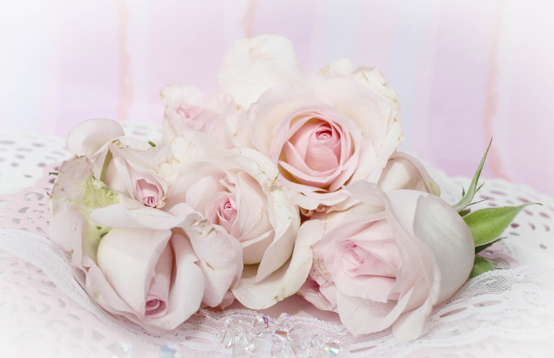 close-up, pastel colored, studio shot, event, 8K, flower arrangement, rose - flower, romantic, flower head, bunch of flowers, indoors, innocence, flowering plant