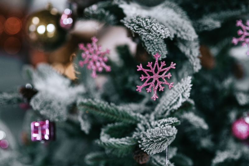 snowflake, cold temperature, frozen, plant, no People, balls, Christmas tree, snow, close-up, tree, small, decoration, christmas Ornament, red, freshness