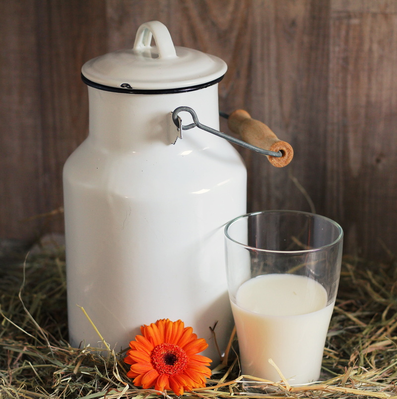 healthy, gerbera, straw, glass, can, white, table, teapot, still life, milk can, milkshake, blossom, drinking, glass of milk, no people, freshness, close-up