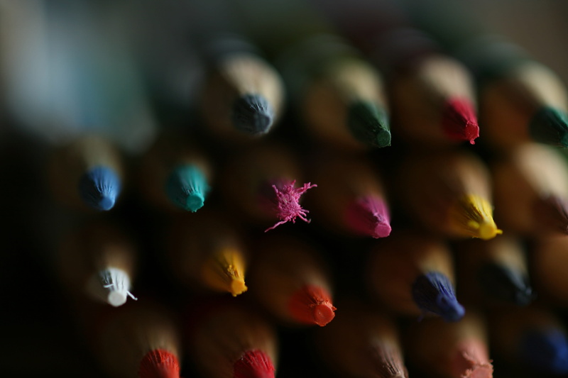 close-up, school, plant, day, large group of objects, designer, study, choice, freshness, multi colored, various, indoors, vulnerability, fragility, pink color
