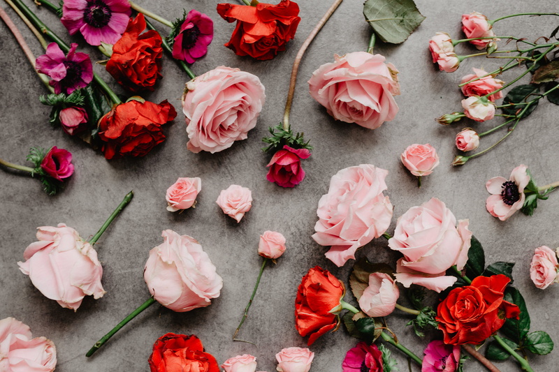 food and drink, lay, pink color, flowers, roses, pink, food, rose - flower, vulnerability, flowering plant, table, copyspace, lovely, petal, copy space