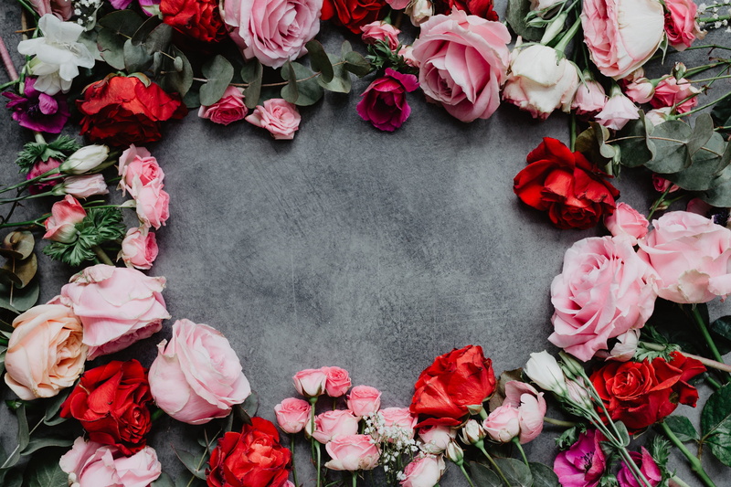 background, vulnerability, inflorescence, flowering plant, leaf, flora, valentine, no people, plant, pink color, flower, close-up, lovely, rose - flower