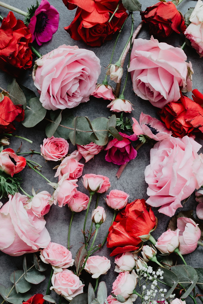 flora, close-up, day, beauty in nature, colorfull, freshness, pink, valentine, outdoors, petal, red, flower arrangement, plant, valentines day, lovely