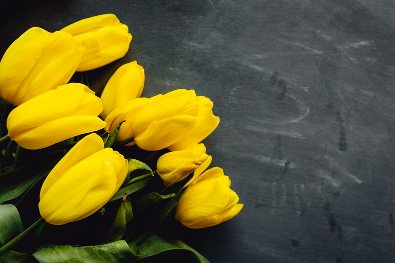 plant, grey, inflorescence, flower, vibrant color, 5K, beauty in nature, bloom, indoors, bouquet, flower head, space, colors, vulnerability, copy paste