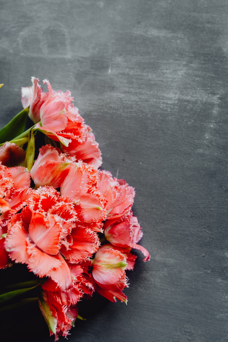 grey, flower arrangement, day, plant, bouqet, beauty in nature, space, blossom, vulnerability, no people, flowering plant, freshness, high angle view, nature