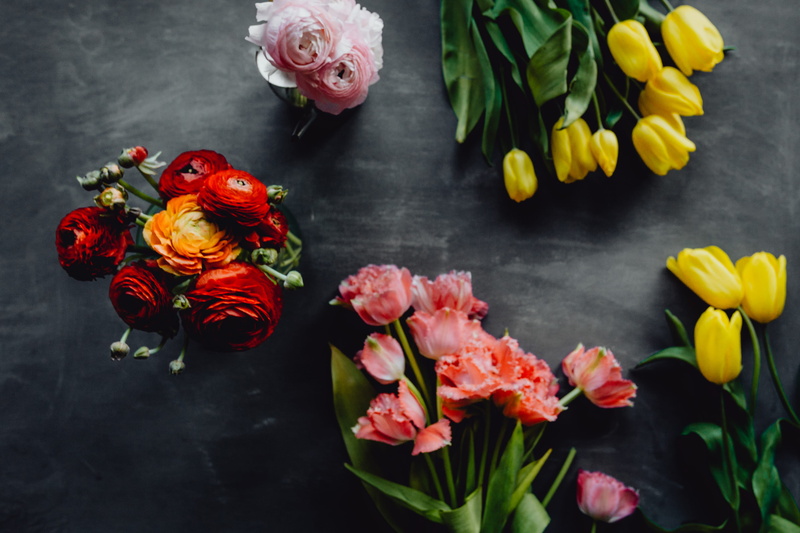 blossom, floral, close-up, space, nature, vulnerability, arrangement, colors, freshness, grey, no people, flowering plant, copy space, copy, flower head