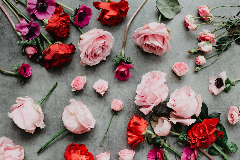 petal, no people, valentine, lovely, vulnerability, flower arrangement, rose, colorfull, pink, rose - flower, composition, valentines day, freshness, red