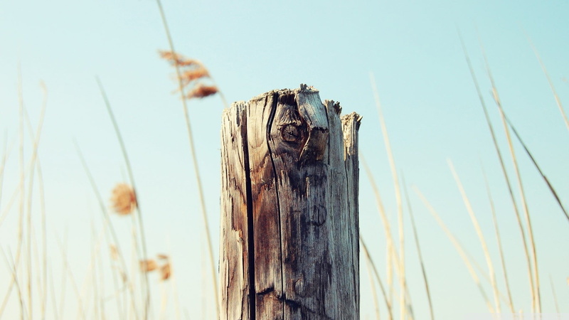 metal, barrier, day, 1080P, close-up, brown, outdoors, safety, landscape, depth of field, fence, macro, wire, plant, blue, backgrounds, wood - Material