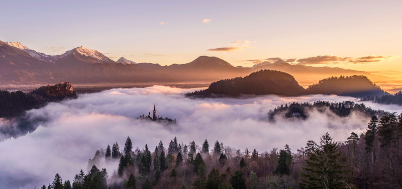 plant, 4K, cc0, desktop backgrounds, sun, cloud - sky, panoramic, mountains, mountain range, land, coniferous tree, valley, fog, panorama, pine woodland