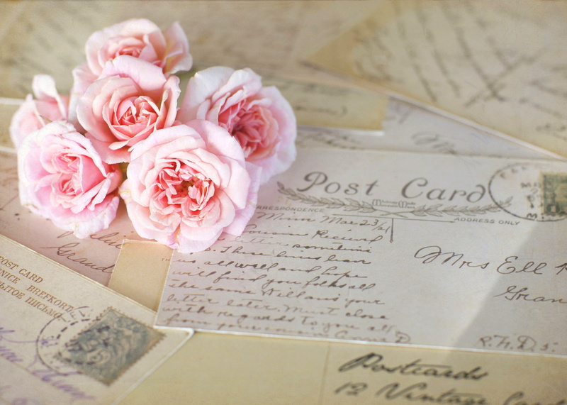 bouquet, vulnerability, wedding, romance, text, document, close-up, cards, communication, vintage, flower arrangement, flowering plant, flower head, high angle view