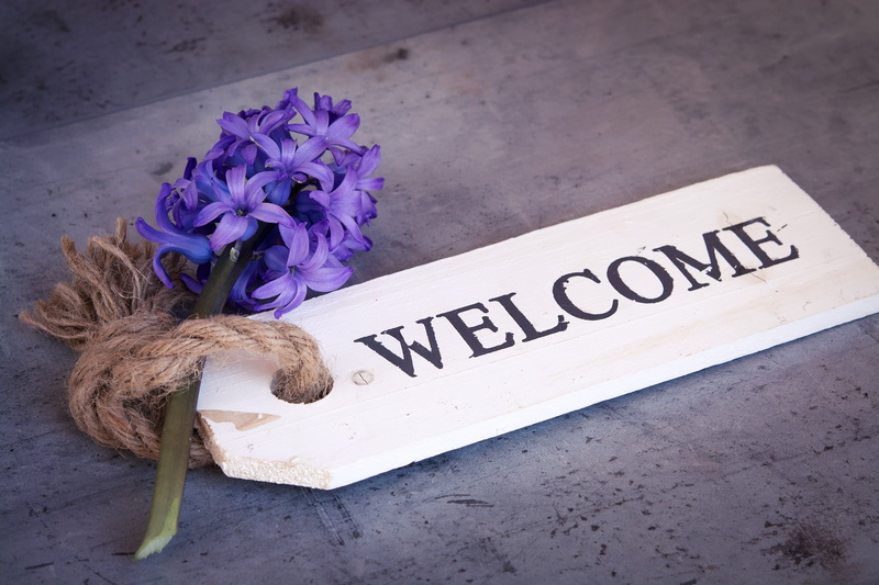 fragrant flower, blue flowers, capital letter, purple, nature, beauty in nature, indoors, flower head, plant, flowers, shield, hyacinth, fragrant, sign