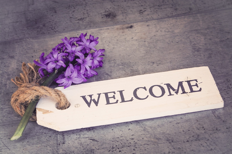 wooden sign, spring flower, flower head, labeled, blue flowers, information, vulnerability, block letters, nature, sign, beside, white sign, flowers, hyacinth
