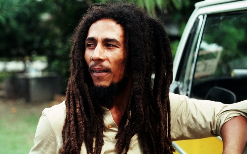 clothing, adult, front view, Reggae, Ska, happiness, leisure activity, hair, 1080P, focus on foreground, lifestyles, portrait, real people, transportation