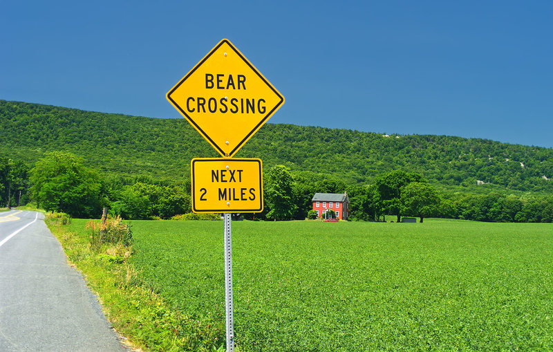 road Sign, creative commons, road, Lehigh Valley, Lynn Township, Pennsylvania, bright light, Kittatinny Mountain, Lehigh County, 2K, Valley  road, PA-309