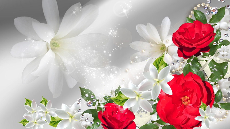 diamonds, bright, 1080P, luxury, roses, jewels, luxurious, white, red, sparkles, display, nature and l, plumeria, illustration, flowers, summer, red roses