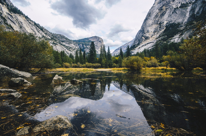 mountain, coniferous tree, 4K, tranquil scene, body, pine tree, grass, nature, daytime, sky, cloud, tranquility, trees, yosemite, near, lake, water, mountain range