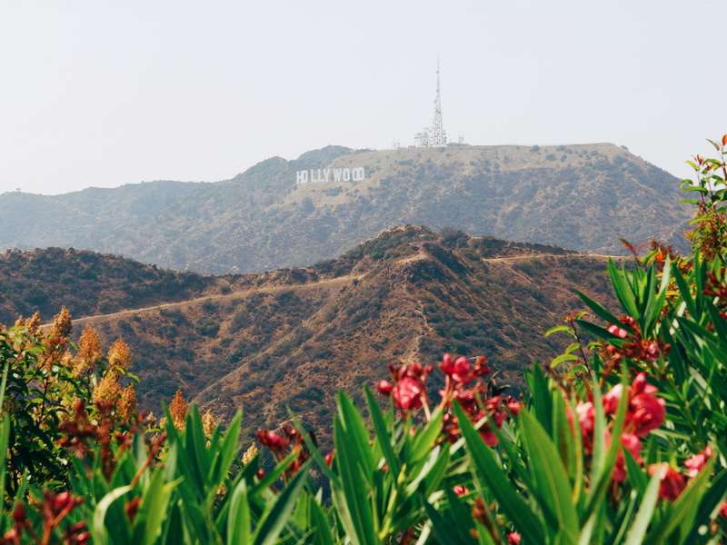 freshness, landscape, hollywood sign, mountain range, environment, hollywoodsign, california, no people, outdoors, travel destinations, 4K, nature, hollywood