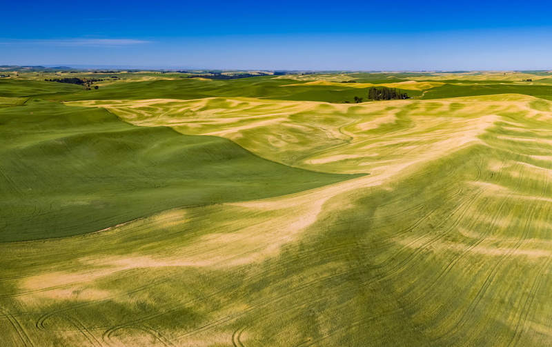 rural Scene, Palouse, val dOrcia, Aerial, outdoors, landscaped, sand, green Color, explore, summer, washington, brown, scenics, farm, united states, nature