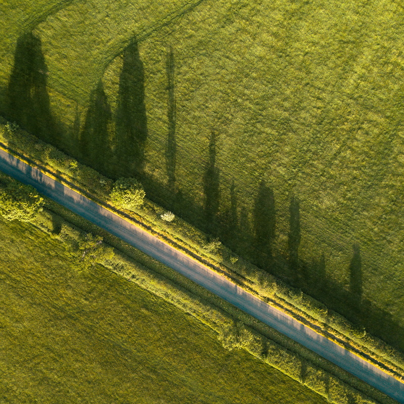 industry, plant, agriculture, tranquility, tree, land, no people, growth, drone view, tranquil scene, flying, scenics - nature, cereal Plant, 2K, photography