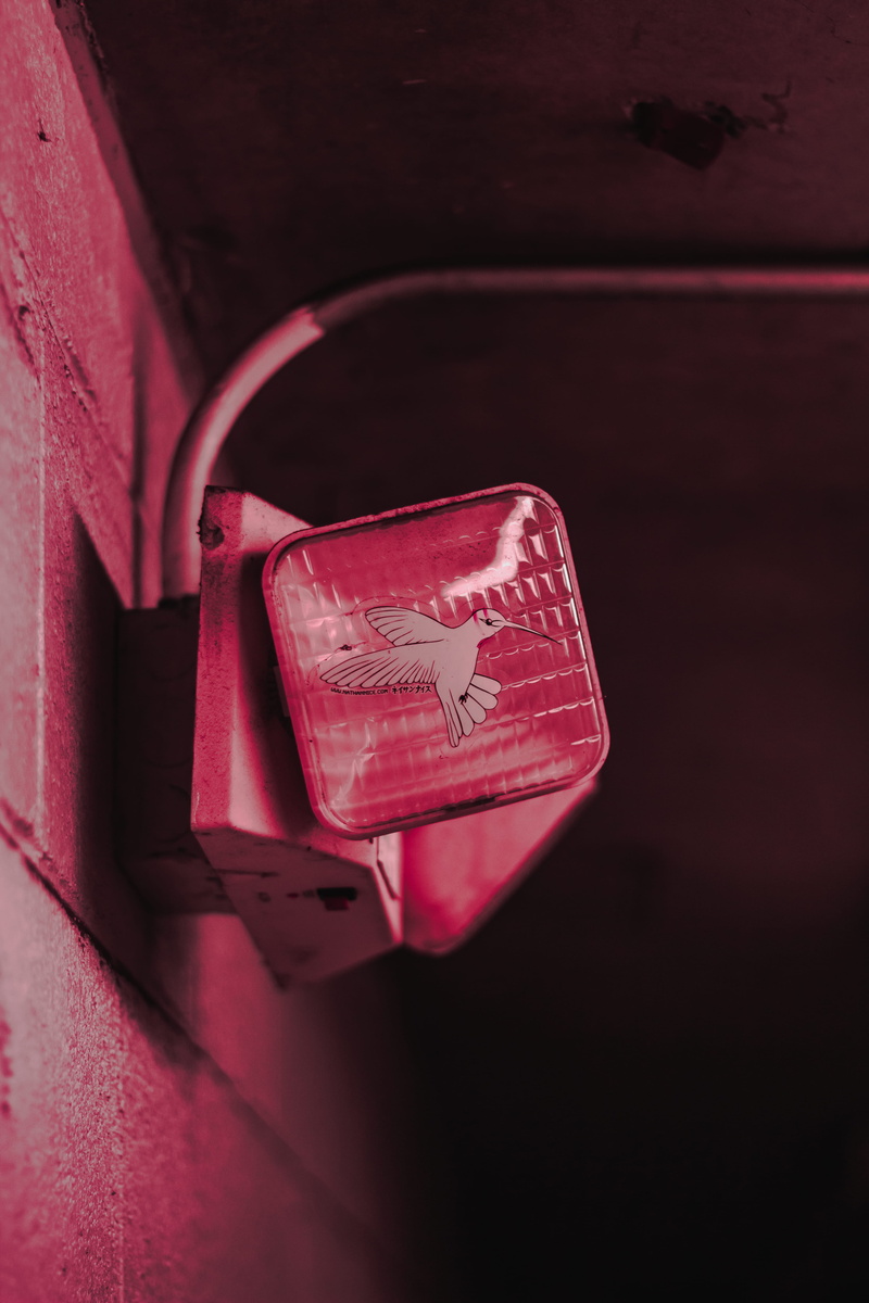 red, light, box - container, car, pipe, land vehicle, decor, high angle view, indoors, urban, dark, 5K, emotion, container, love, communication, animal