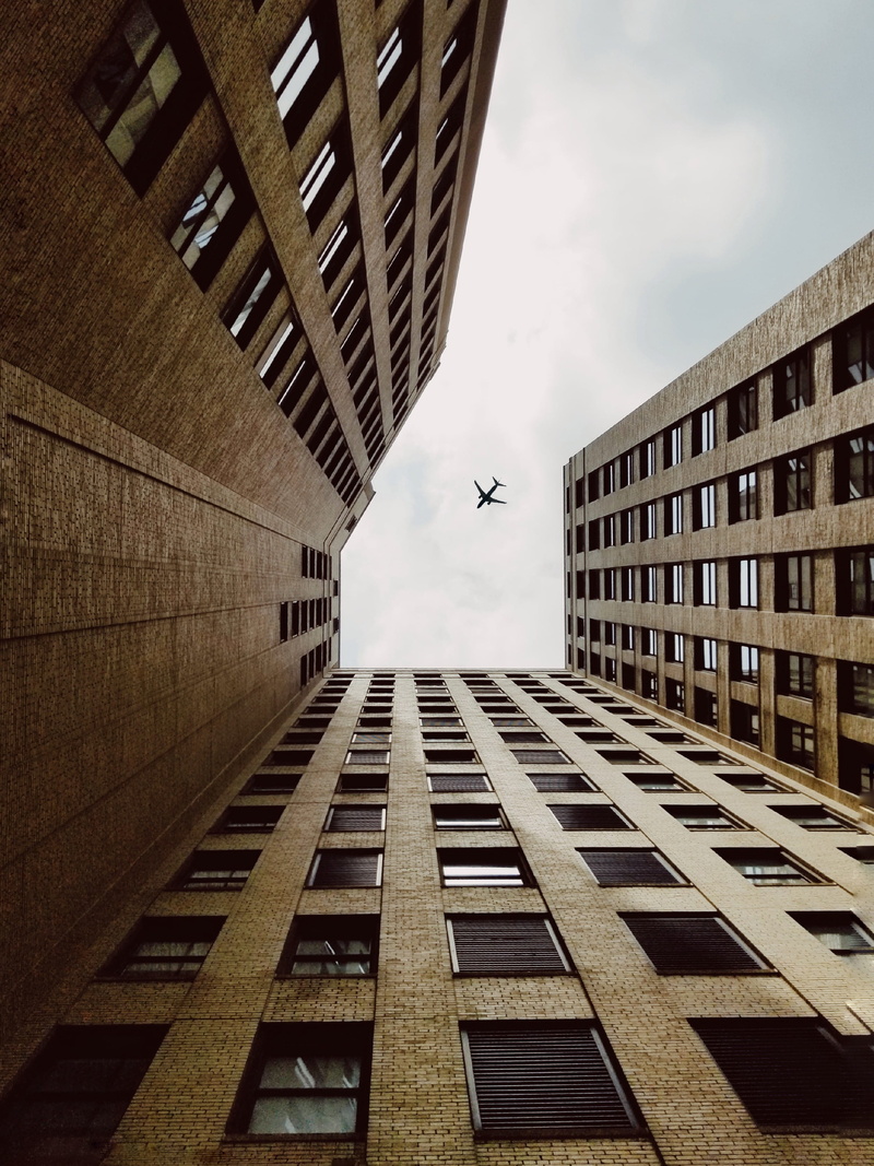 city, nature, gray, detroit, architecture, photography, directly below, looking up, outdoors, worm, urban, skyscrapper, downtown, 2K, skyscraper, high