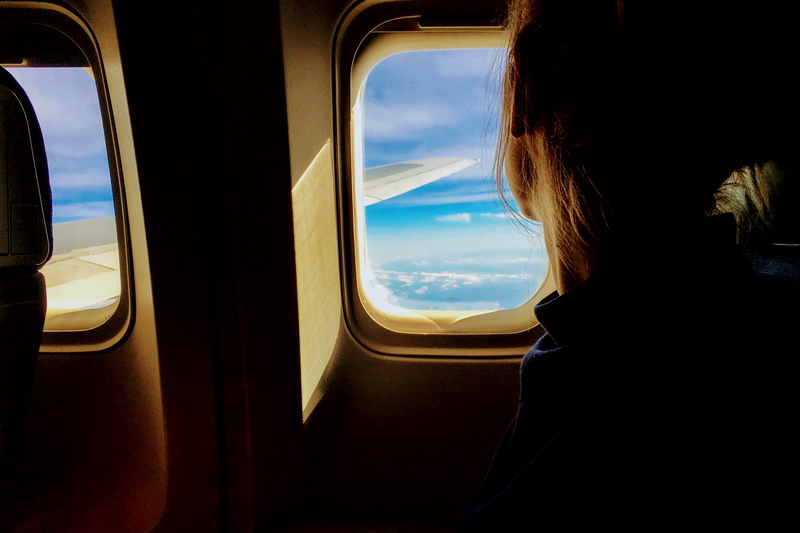 vacation, flying, travel, person, outdoors, wing, trip, airplane cabin, business, cloud - sky, plane, looking, glass - material, daytime, airplane, woman