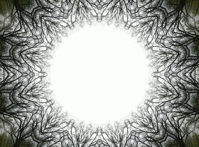 Life, tree, circle, foreverandever, illustration, Love, composite image, white, silhouette, black, outdoors, shape, sky, clear sky, Desktop, Bliss, 2K