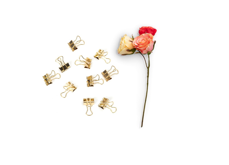 high angle view, nature, flowers, romantic, copy space, no people, 4K, indoors, rose, petal, fragility, cut out, design, romance, plant, still life, paper clips