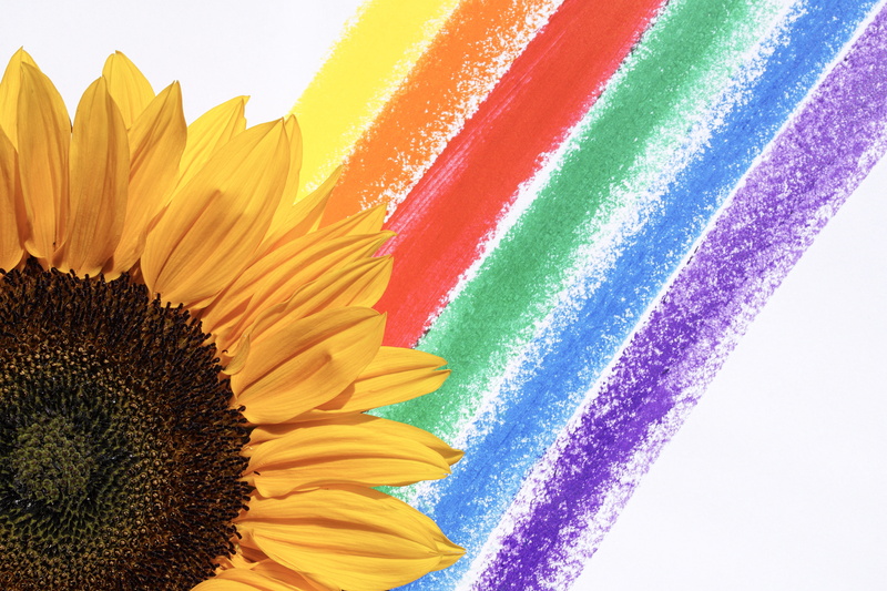 5K, yellow, flower, pattern, colorful, vibrant, rainbow, flora, beautiful, illustration, inflorescence, coloring, fragility, round out, nature, close-up